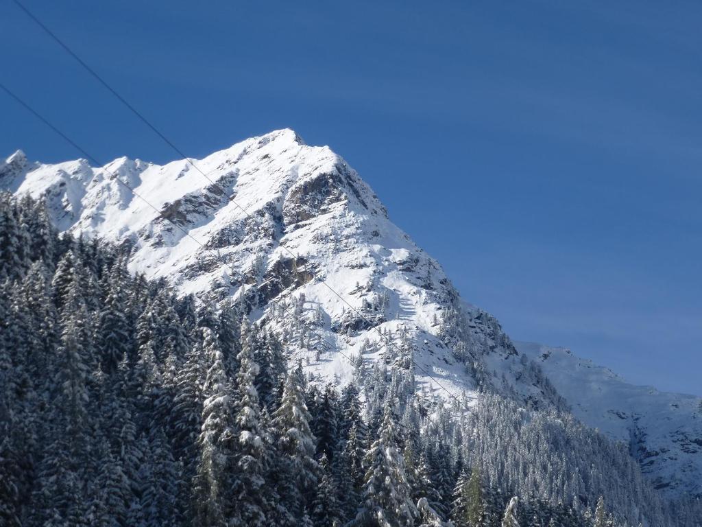 Apart Gschwandthof Sankt Leonhard im Pitztal Eksteriør billede